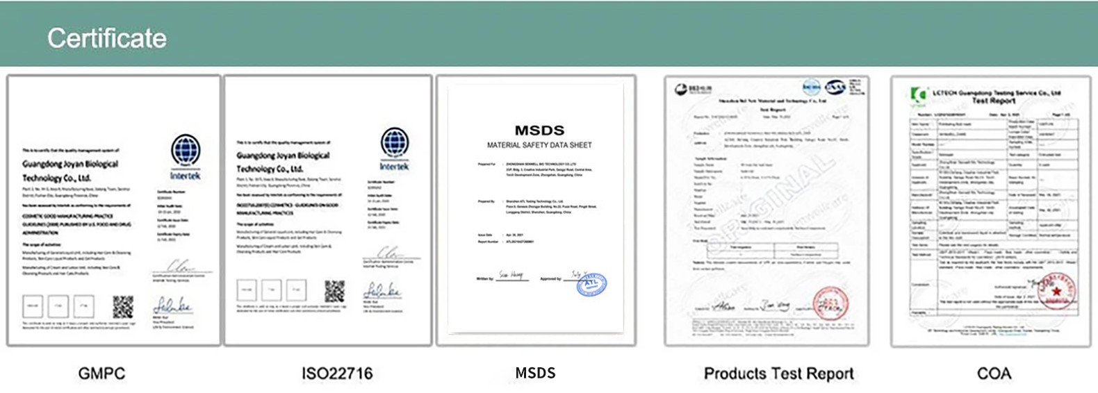 202404231339046705c 202404231339046705c